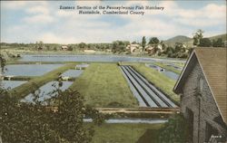 Stock #978100 Thumbnail