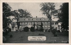 Historic Forest Tavern Postcard