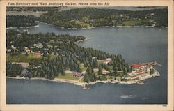 Fish Hatchery and West Boothbay Harbor Maine Postcard Postcard Postcard