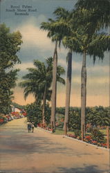 Royal Palms, South Shore Road Postcard