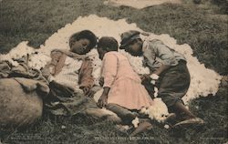 Black Children sleeping in pile of cotton Postcard