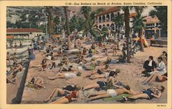 Sun Bathers on the Beach at Avalon Postcard