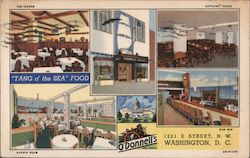 O'Donnell's Sea Grill Washington, DC Postcard Postcard Postcard