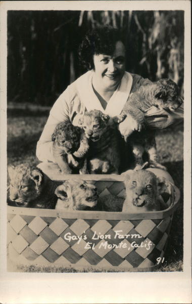 Gay’s Lion Farm El Monte California