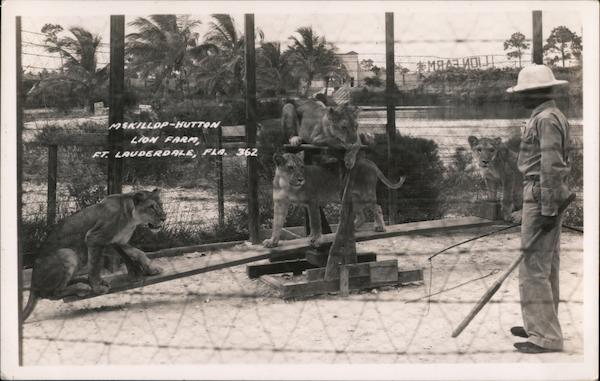 McKillop-Hutton Lion Farm Fort Lauderdale Florida