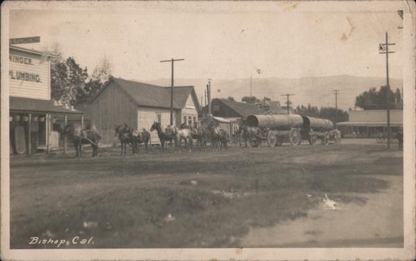 Horses and Wagons Hauling Pipes Bishop California