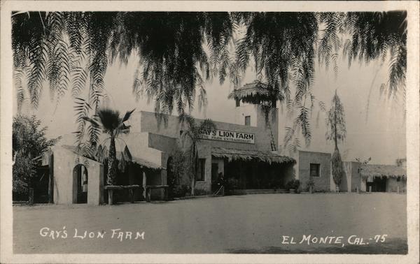 Gay's Lion Farm El Monte California