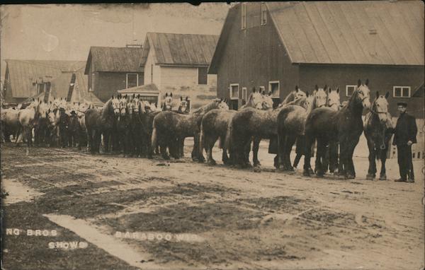 Horses of the Ringling Bro. Show Baraboo Wisconsin
