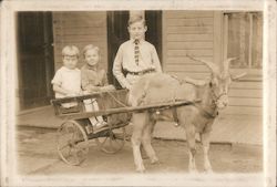 Children With Goat Cart Original Photograph