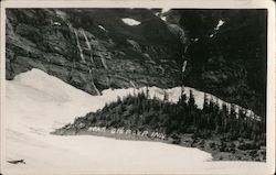 Scene Near Big Four Inn, Snohomish County Postcard