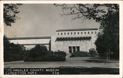 Los Angeles County Museum-Exposition Park Postcard