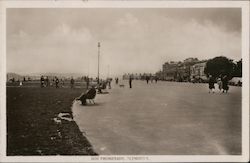 Hoe Promenade Plymouth, England Devon Postcard Postcard Postcard