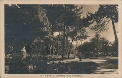 Interno Villa Nazionale Postcard