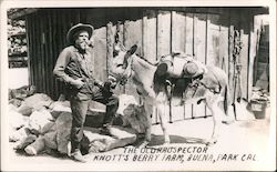 The Old Prospector Buena Park, CA Knott's Berry Farm Postcard Postcard Postcard