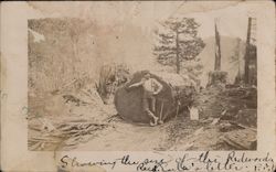 Logger with Giant Redwood Tree Rare DPO Postcard