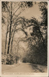 Glessner Woods Postcard