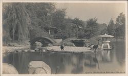 Brooklyn Botanic Garden Postcard