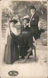 Man Looks Like Burl Ives on Ostrich, Cawston Farm Postcard