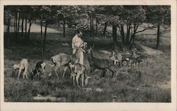 Catskill Game Farm, Inc., Roland Lindemann Postcard