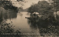 A Glimpse of the Lake, Central Park New York City, NY Postcard Postcard Postcard