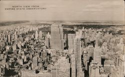 North View from Empire State Observatory Postcard