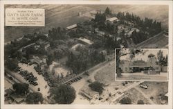 Gay's Lion Farm Postcard