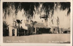 Gay's Lion Farm Postcard