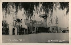 Gay's Lion Farm Postcard
