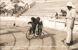 Training Chimpanzees at Clyde Beatty's Jungle Zoo Postcard