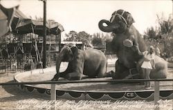 Harriet and Performing Elephants, Clyde Beatty's Jungle Zoo Postcard