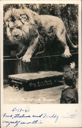 Gay's Lion Farm Postcard