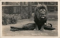 Gay's Lion Farm Postcard