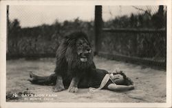 Gay's Lion Farm Postcard