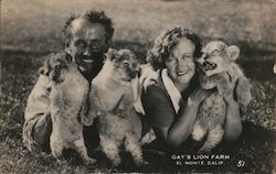 Gay's Lion Farm Postcard