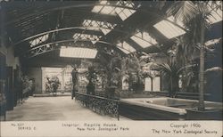 Reptile House - New York Zoological Park Bronx, NY Postcard Postcard Postcard