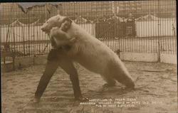 Wrestling a Polar Bear - Hagenbeck–Wallace Circus Postcard