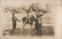 Children Playing with Donkey Postcard