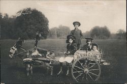 Pony Pulling Carriage with Two Girls in It Postcard