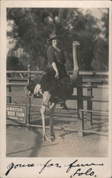 Cawston Ostrich Farm - Woman on Ostrich Postcard