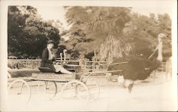 Los Angeles Ostrich Farm, Opposite Lincoln Park Postcard