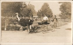 Ostrich Pulling a Carriage Postcard