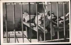 Lion Cage at Woodland Park Postcard