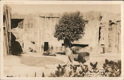 Stock #982720 Thumbnail