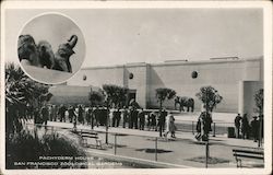 Pachyderm House, Zoological Gardens Postcard