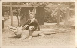 Boy Sitting on Alligator Postcard