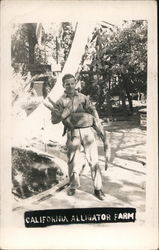 California Alligator Farm Postcard