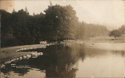 Lake in Lithia Park Ashland, OR Postcard Postcard Postcard