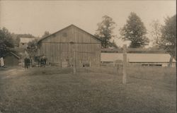 Wooden barn with two horses Postcard