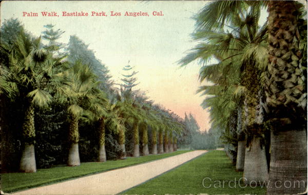 Palm Walk, Eastlake Park Los Angeles California