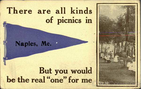 There are all kinds of picnics in Naples, Me.But you would be the real ONE for me. Maine